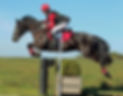 Sports Pony Machno Excalibur Eventing