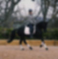 Machnosports pony dressage Gabrielle