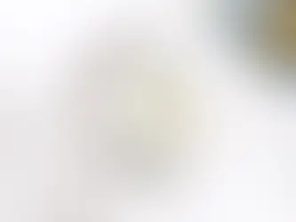 Den ultimative guide til orakelkortlæsninger