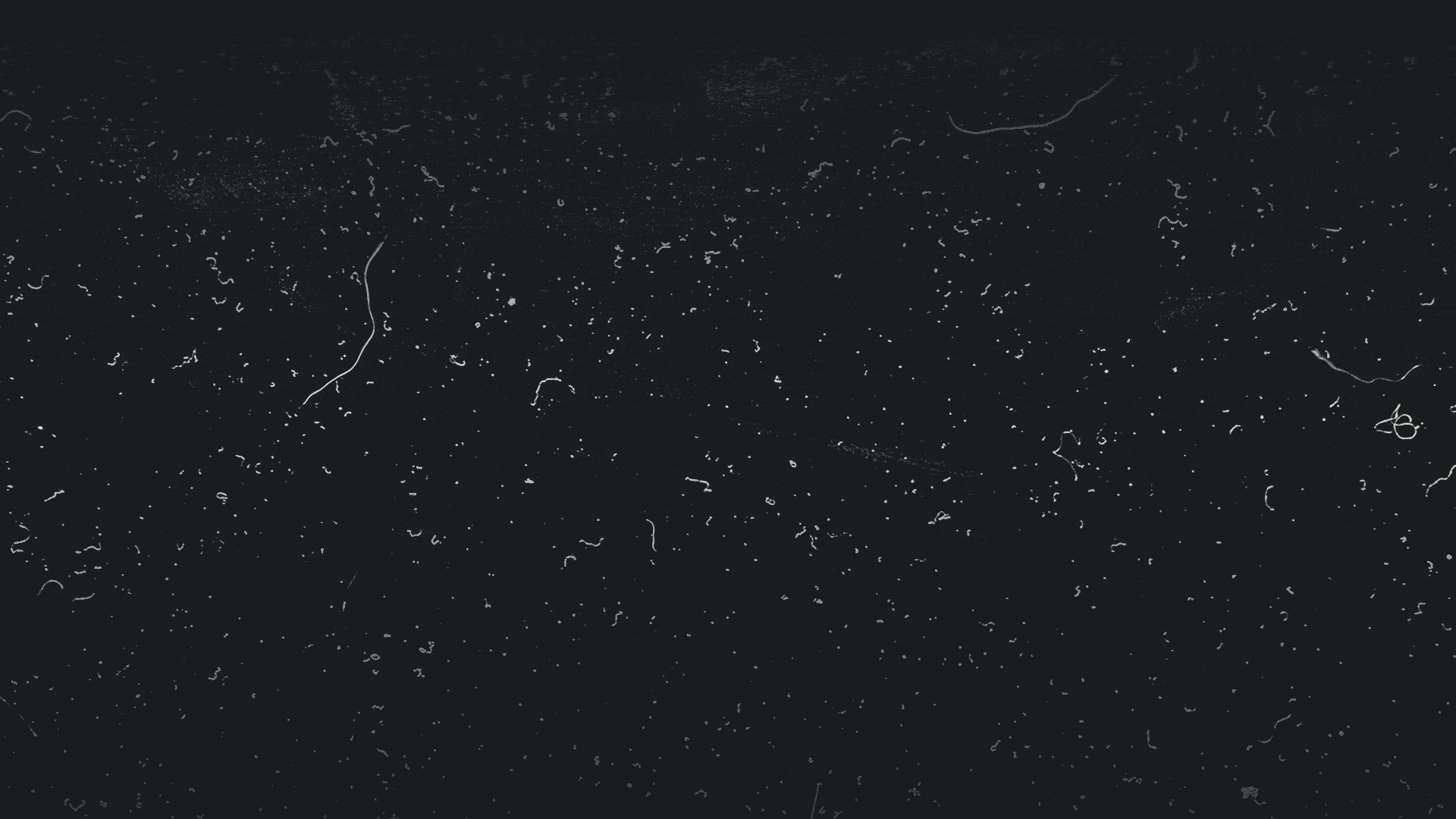 PRINCE BURGER MACARONS DESIGN