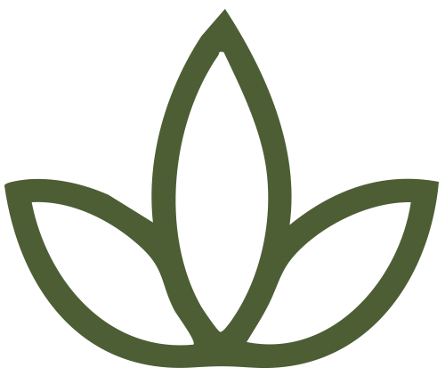 12.png