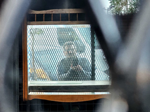 MI CELULAR Y YO (cuento corto)