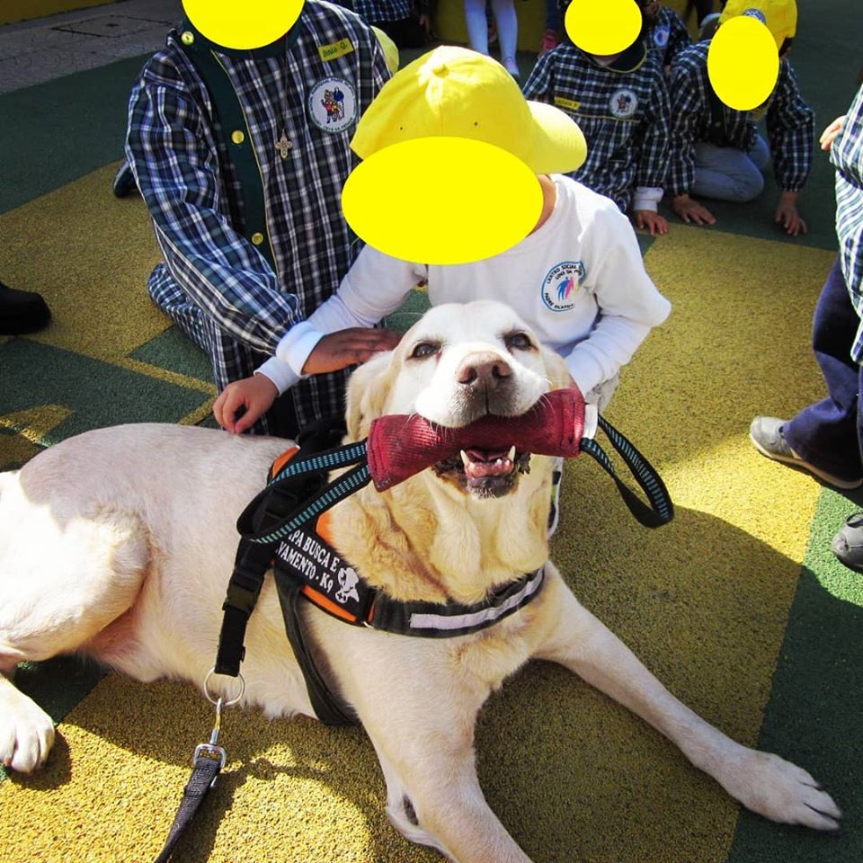 87605875_134761781378907_771049486797294