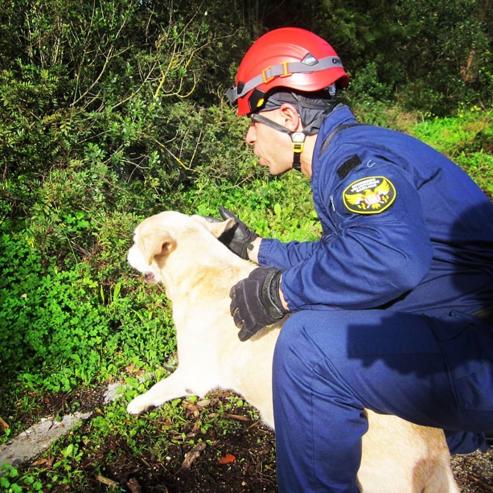 83916694_127022745486144_500545146339301