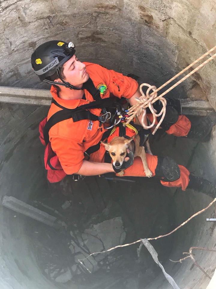 22365637_10156771577623065_5620724058990