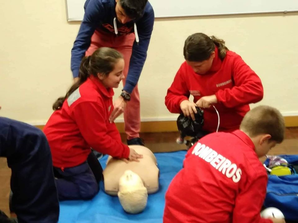 80398191_2654067244685966_14349708945386