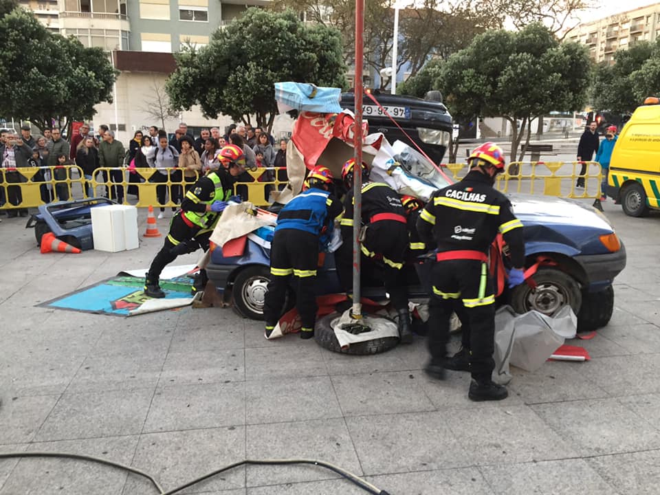 53671965_2156010777824951_48601732067633