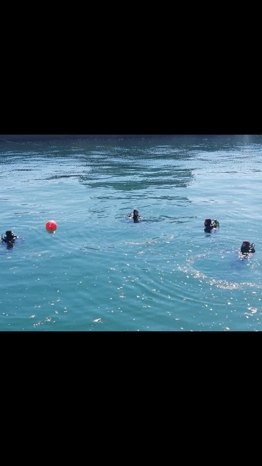 54255036_2530168833677959_55361625891316