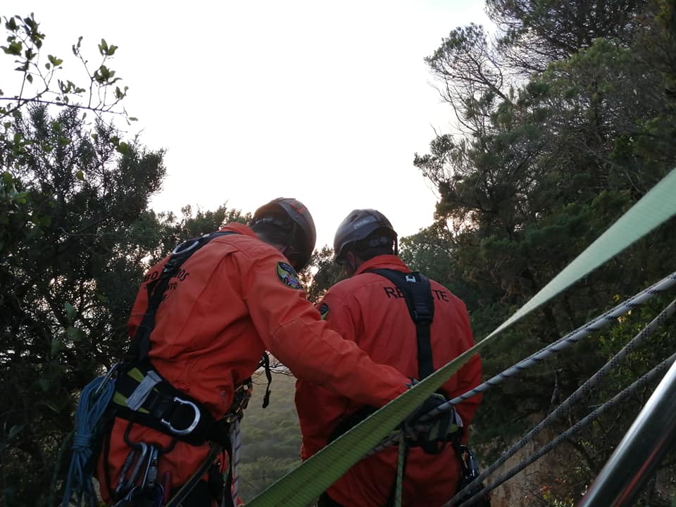 94380054_2919234708191256_21606299029429