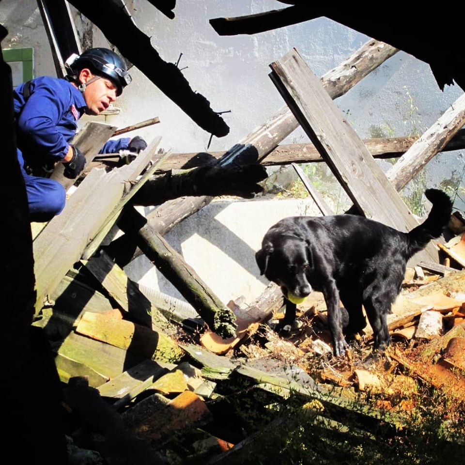 101515948_165034765018275_44527733666417