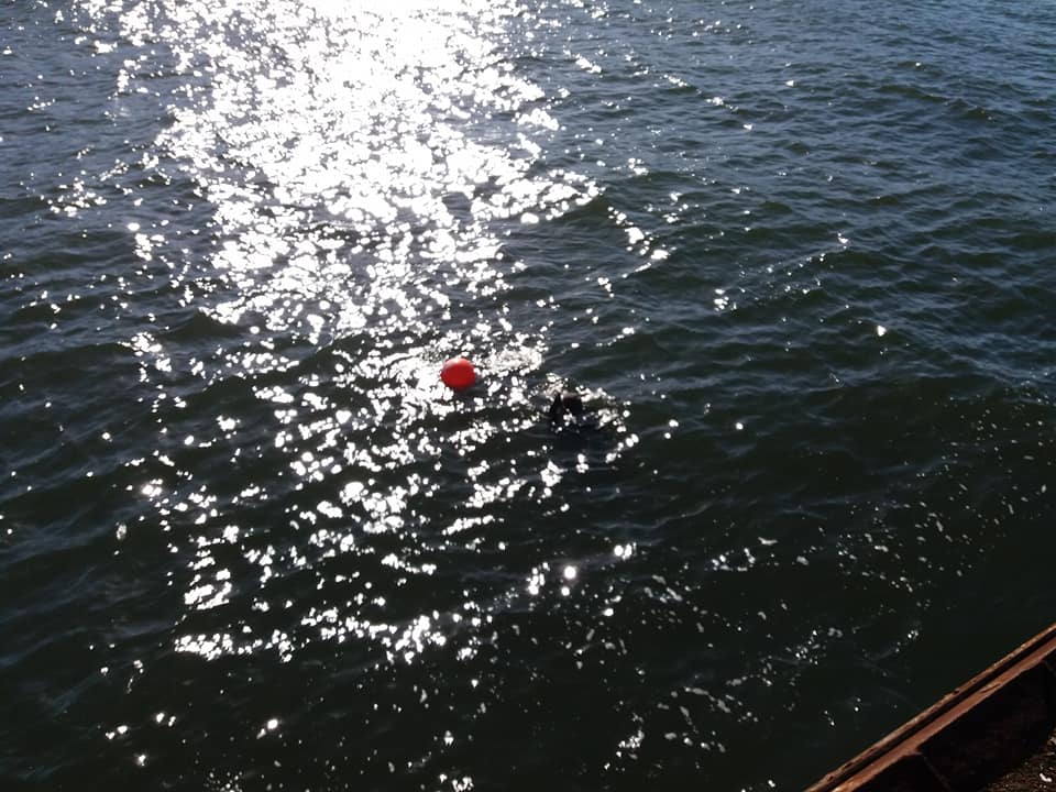 27657253_1957602387601276_66014626631628