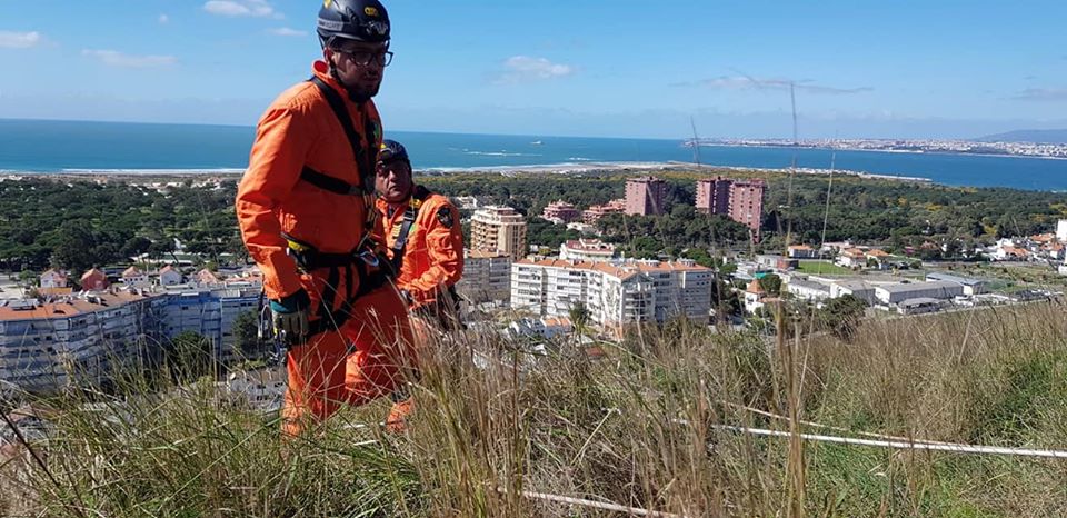 54255445_2485592274805230_42946554126548