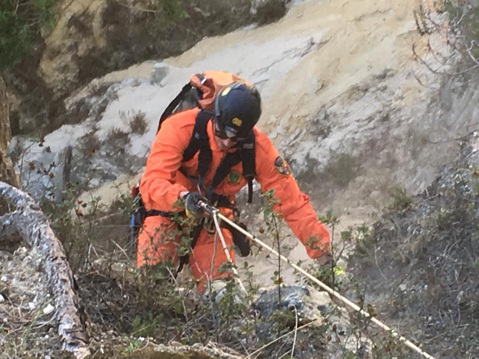 23517614_10156890658348065_3253445988494