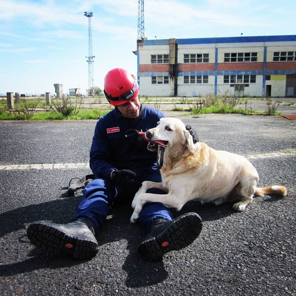 86663440_130556765132742_506804060016345