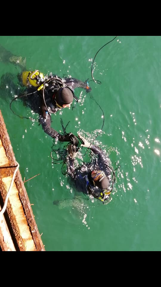 53761263_2530168707011305_79480083933927