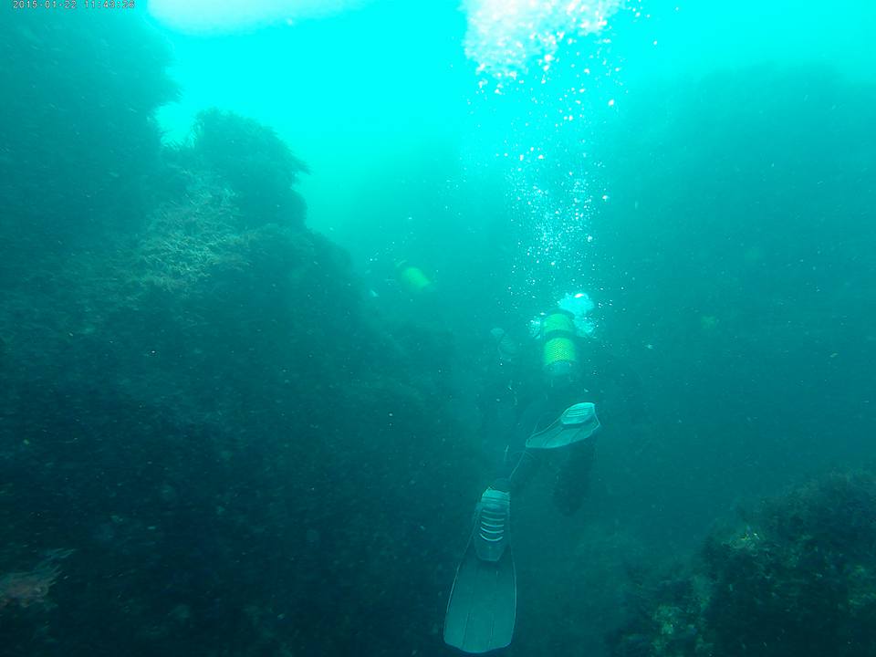 17361712_1592861587408693_18072792875912