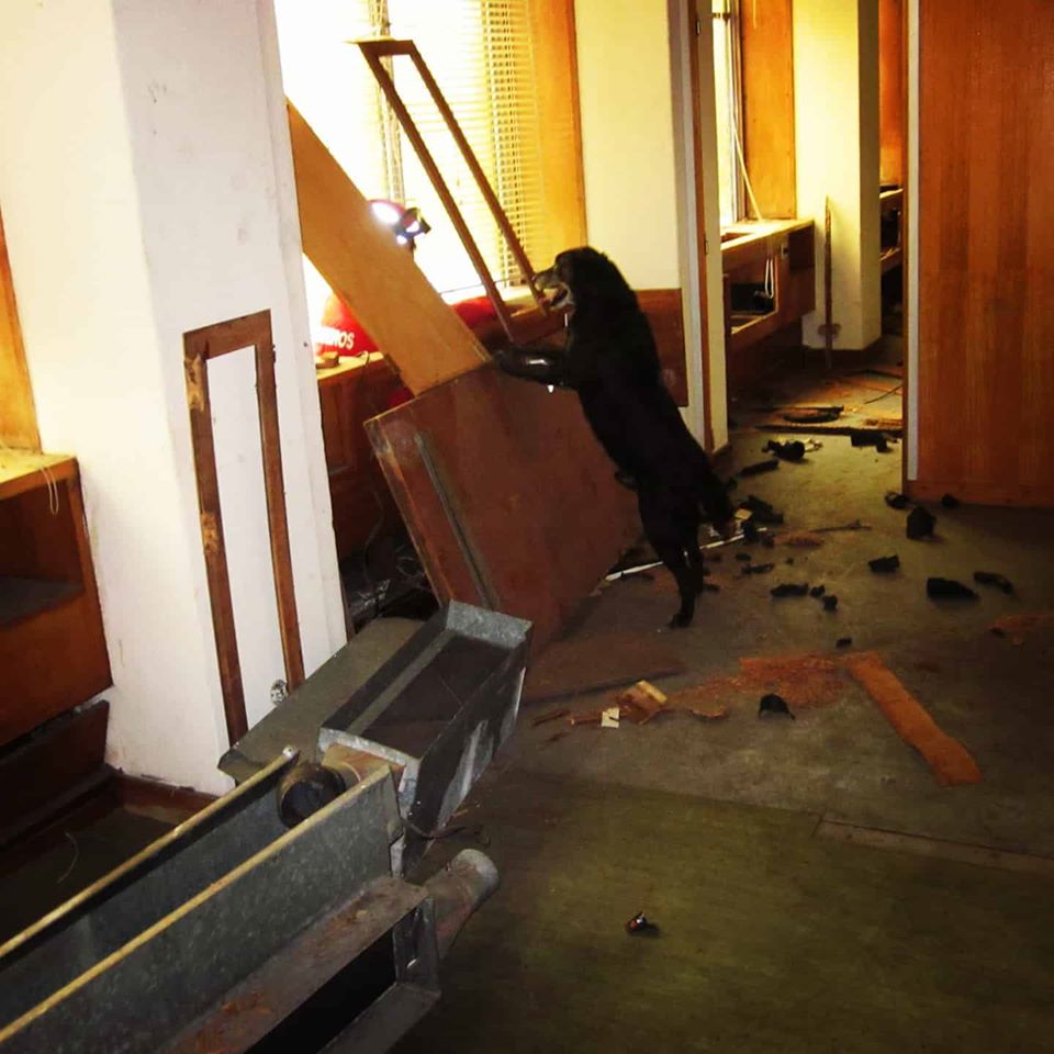 83103404_119051662949919_149662020227039