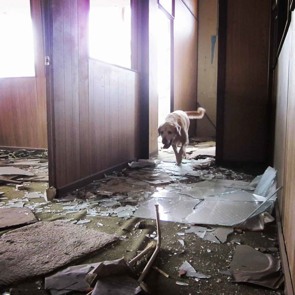 84340033_124438722411213_459081981746793