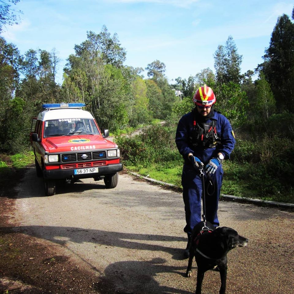 84057373_127022388819513_132348048420162