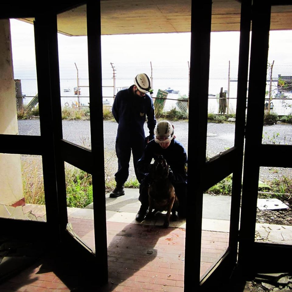 89027555_135377067984045_531294697977544