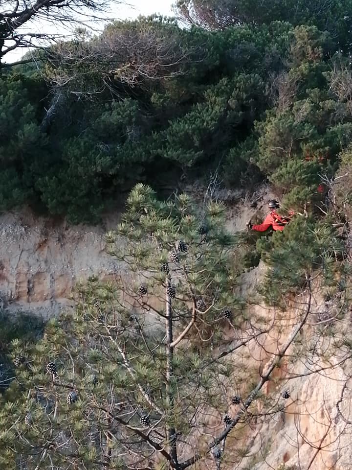 94480080_2919233698191357_70067494183680