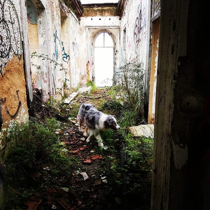 85014601_128823155306103_599150012690700