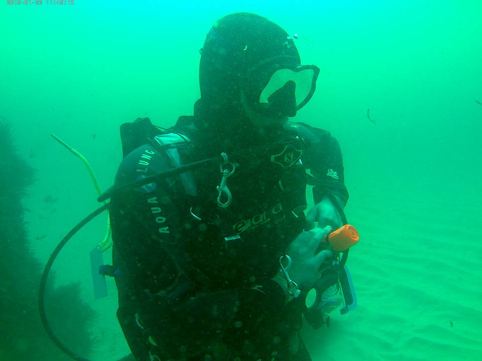 17352352_1592861530742032_32825150659393