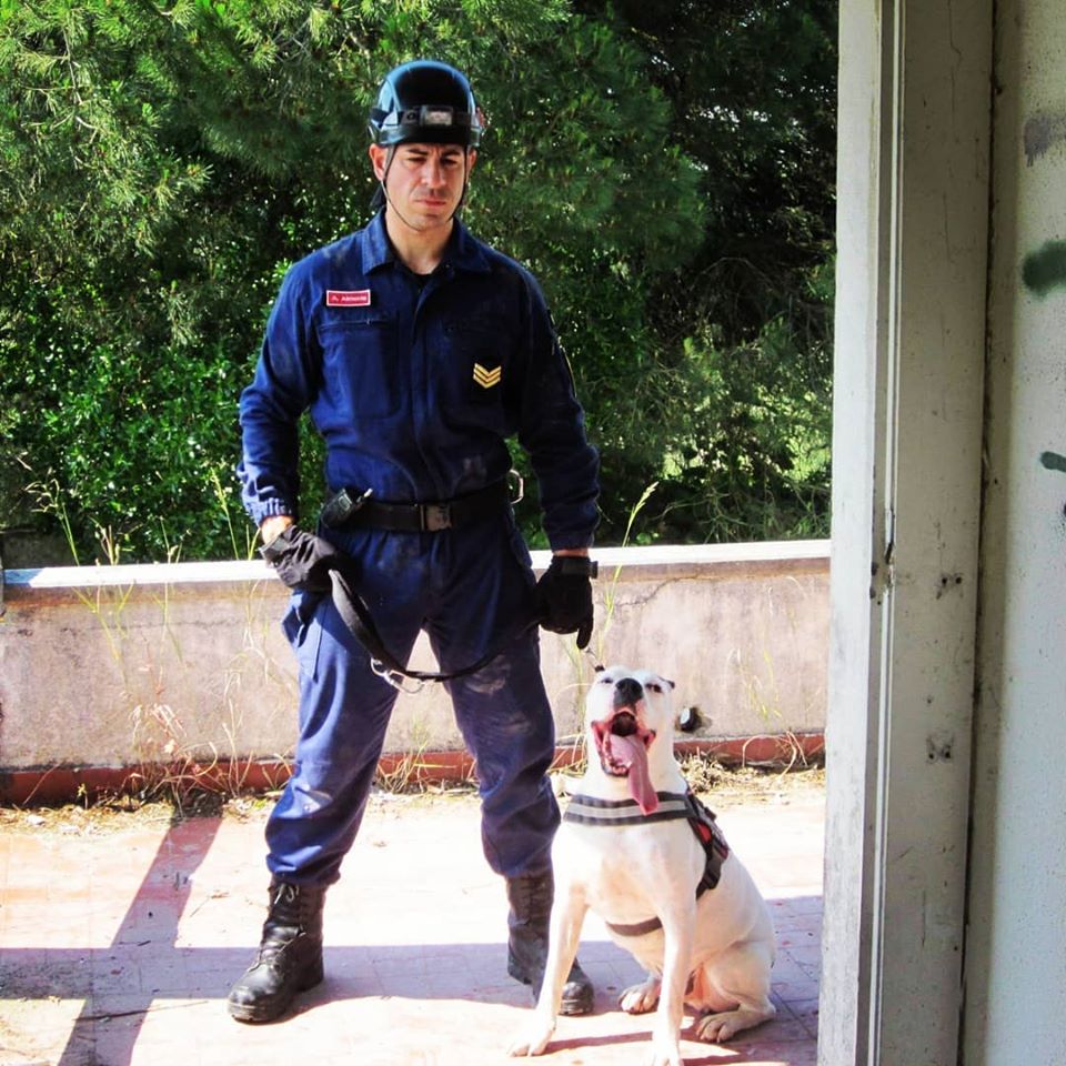 101538373_165034805018271_38362833859955