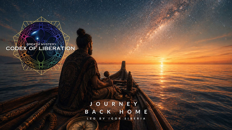 CODEX OF LIBERATION: JOURNEY BACK HOME