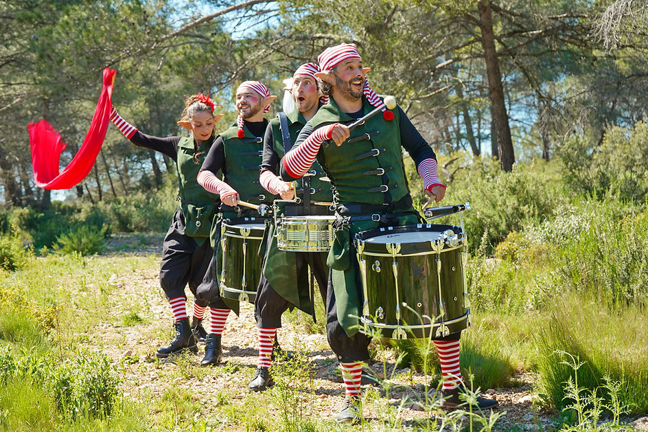 Animation de Noël, musiciens pour marché de Noël, percussions