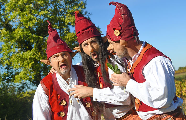 personnages, contes, légendesn bretagne, spectacle, animation