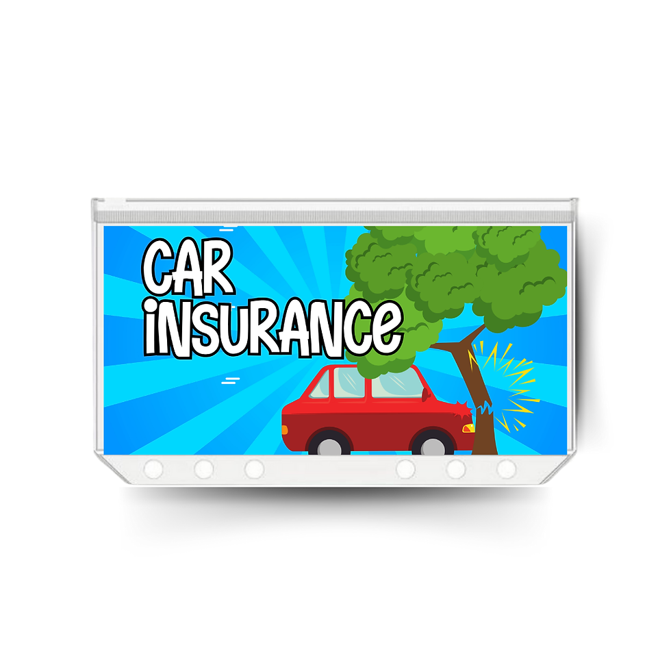 CAR INSURANCE savings dashboard insert and zipped envelope