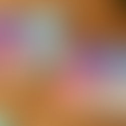 Using Human Senses to Enact Rigorous Qualitative Analysis