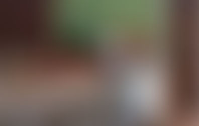 Czego nie powinien jeść Twój pies?