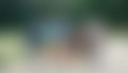 Turniej Tenisa Ziemnego o Puchar Doktora Kocha 2016