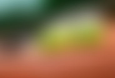 TURNIEJ TENISA 22.07.2017 - rozstawienie zawodników w poszczególnych grupach