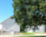 Wesner Grove Kennel