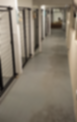 Indoor Kennels
