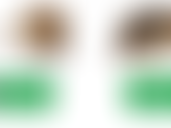 The Truth About HantaVirus