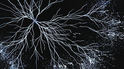 synaptic.png