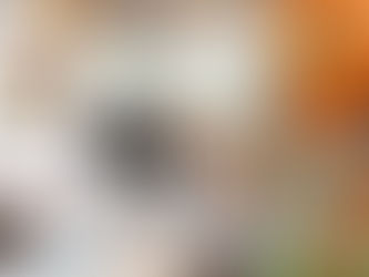 Keeping Your Small Mammal Happy