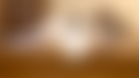 How Often Should You Take Your Cat to a Vet?