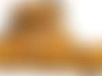 POWER FINANCES SYLLABUS