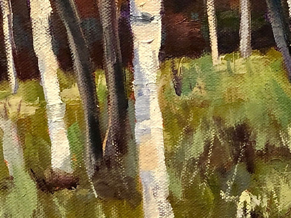 Thumbnail: Birch Wood