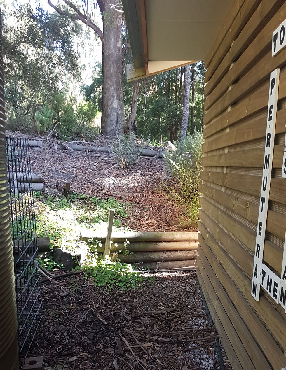 Around the world in 80 Years