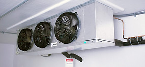 interior-fans-2.jpg