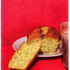 Cake Pavot Citron