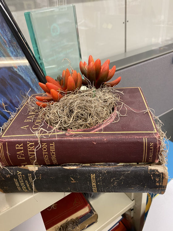 Blog REACH Literacy Blog REACH Literacy