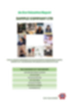 business valuation report sample
