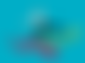 5 Reasons to Get Your Company Valued by Evo-Valuations